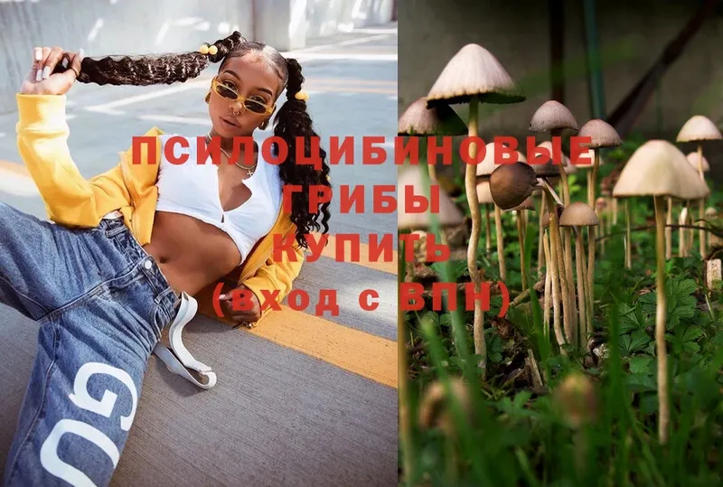 Псилоцибиновые грибы Magic Shrooms  Вичуга 